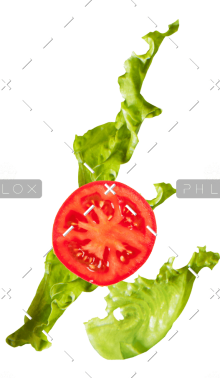 demo-attachment-87-lettuce_tomato@2x